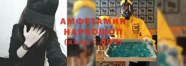 стаф Ельня