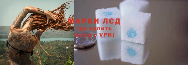 твердый Аркадак