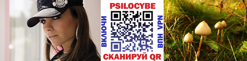 Псилоцибиновые грибы мухоморы  Балтийск 